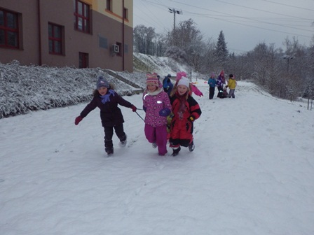 2013_01_15_závody_psích_spřežení_01