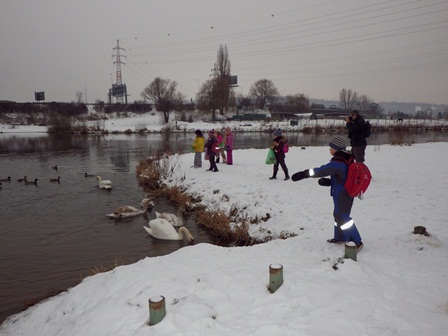 2013_01_23_02_první_krmení_08