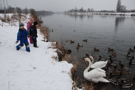 2013_01_23_09_druhe_krmeni_04