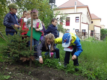 2013_05_23_pozorujeme_hrášek_4_týden_03