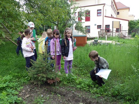 2013_06_06_pozorujeme_hrášek_01