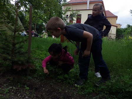 2013_06_06_pozorujeme_hrášek_04